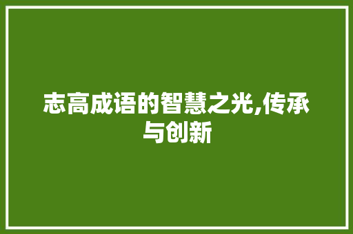 志高成语的智慧之光,传承与创新 近义词汇