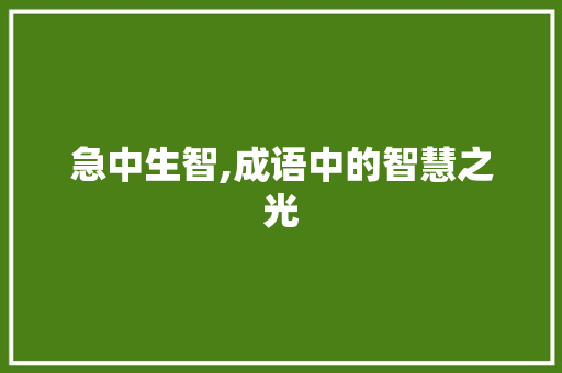急中生智,成语中的智慧之光