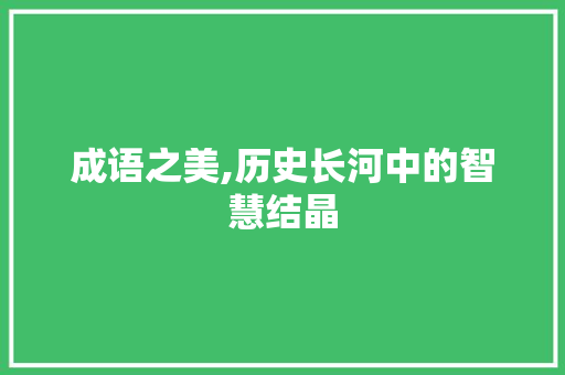 成语之美,历史长河中的智慧结晶