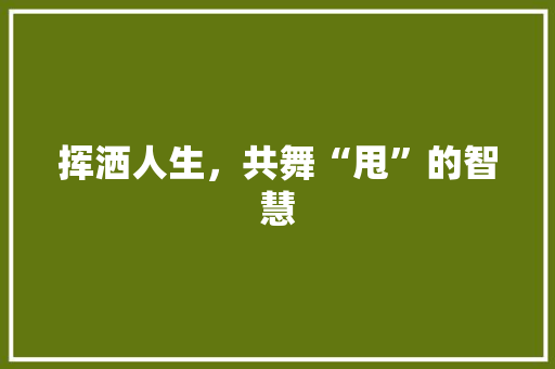挥洒人生，共舞“甩”的智慧