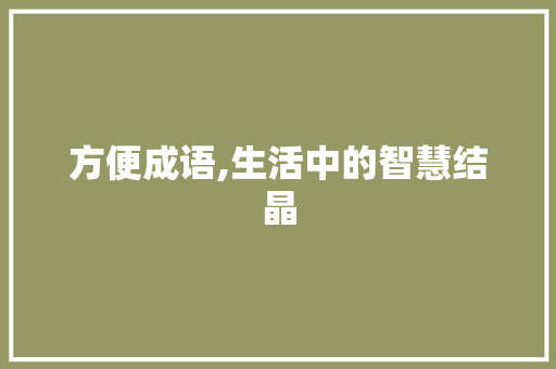 方便成语,生活中的智慧结晶