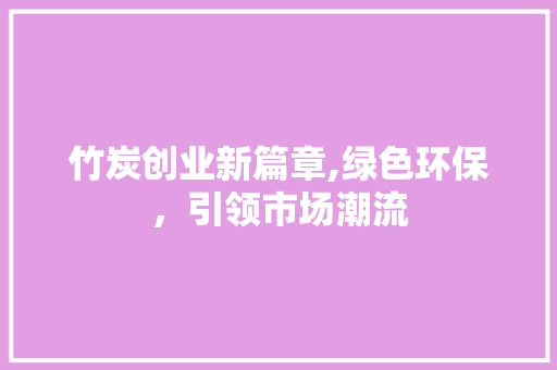 竹炭创业新篇章,绿色环保，引领市场潮流