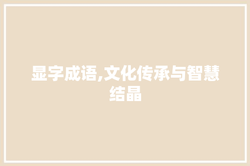 显字成语,文化传承与智慧结晶 近义词汇
