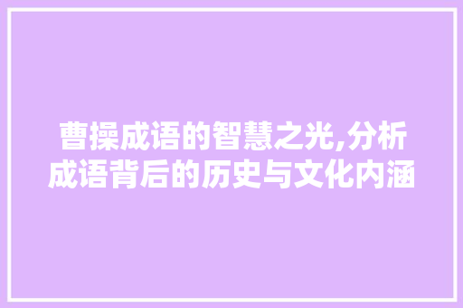曹操成语的智慧之光,分析成语背后的历史与文化内涵