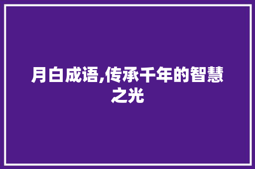 月白成语,传承千年的智慧之光