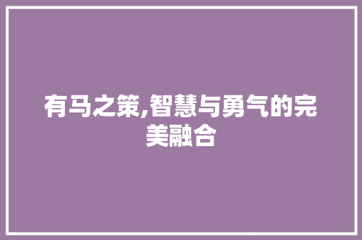 有马之策,智慧与勇气的完美融合