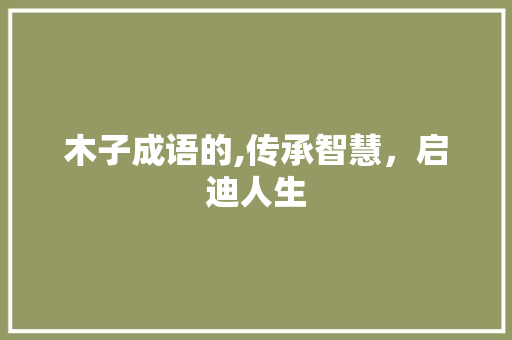 木子成语的,传承智慧，启迪人生