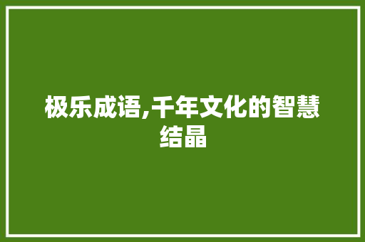 极乐成语,千年文化的智慧结晶