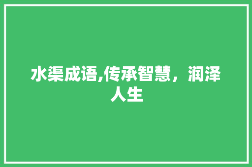 水渠成语,传承智慧，润泽人生