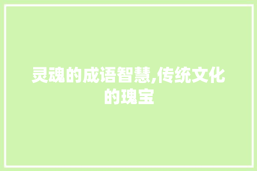 灵魂的成语智慧,传统文化的瑰宝