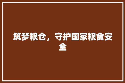 筑梦粮仓，守护国家粮食安全
