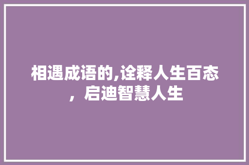 相遇成语的,诠释人生百态，启迪智慧人生