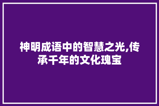 神明成语中的智慧之光,传承千年的文化瑰宝