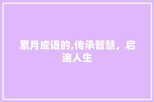 累月成语的,传承智慧，启迪人生