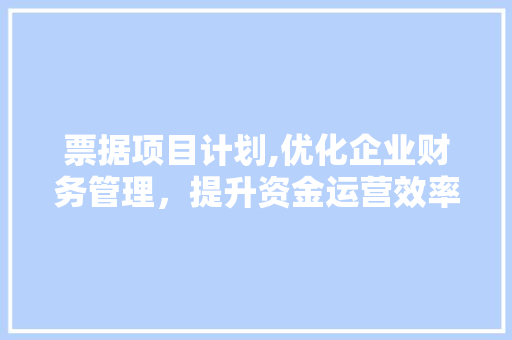 票据项目计划,优化企业财务管理，提升资金运营效率