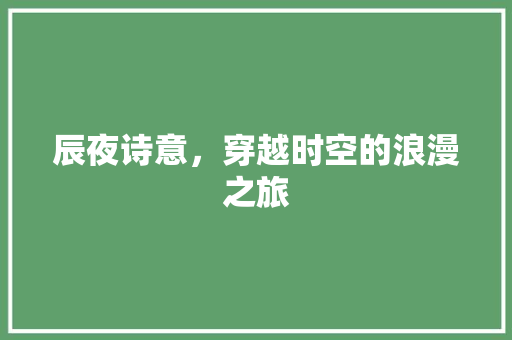 辰夜诗意，穿越时空的浪漫之旅