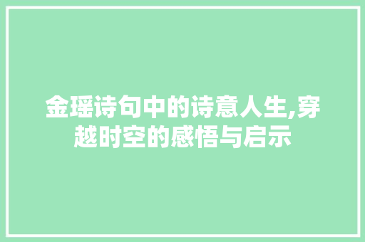 金瑶诗句中的诗意人生,穿越时空的感悟与启示