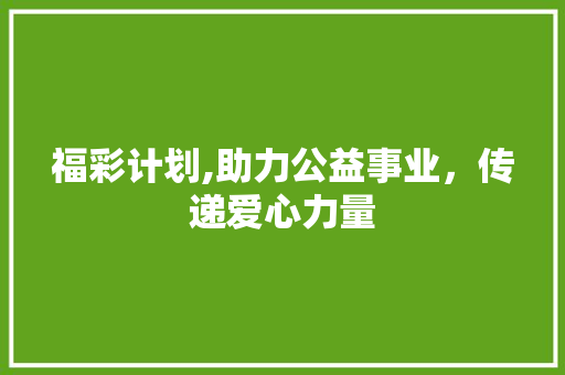 福彩计划,助力公益事业，传递爱心力量