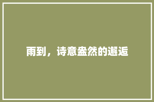 雨到，诗意盎然的邂逅