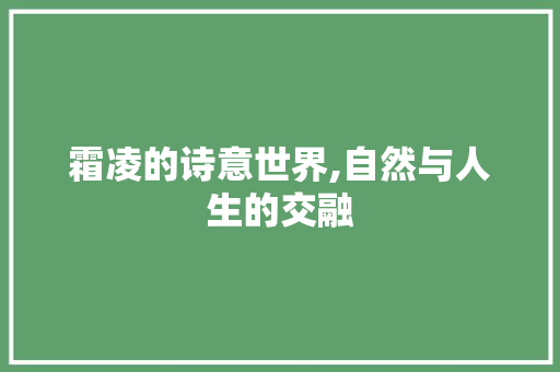 霜凌的诗意世界,自然与人生的交融