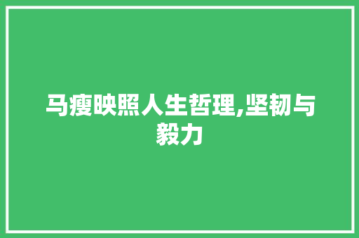 马瘦映照人生哲理,坚韧与毅力