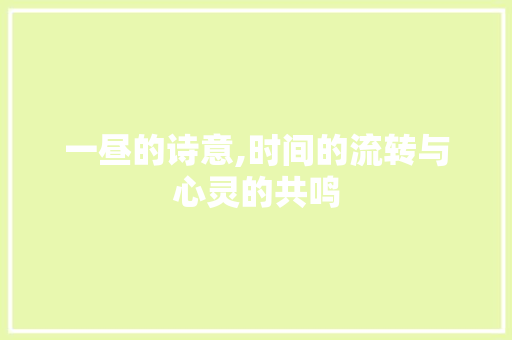 一昼的诗意,时间的流转与心灵的共鸣