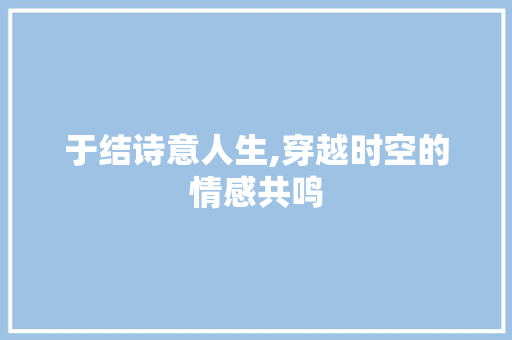 于结诗意人生,穿越时空的情感共鸣 成语汇编