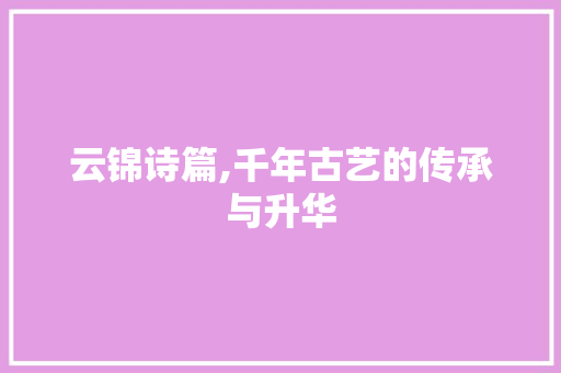云锦诗篇,千年古艺的传承与升华