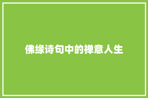 佛缘诗句中的禅意人生