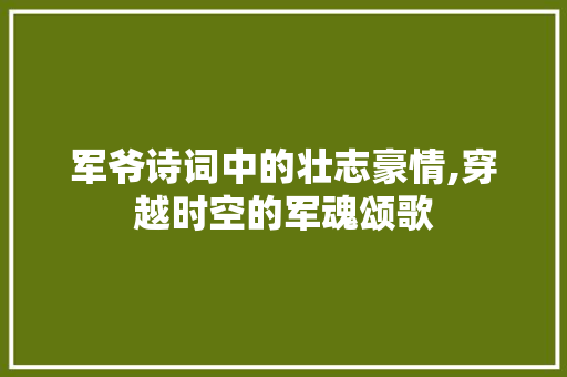 军爷诗词中的壮志豪情,穿越时空的军魂颂歌