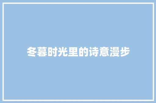 冬暮时光里的诗意漫步