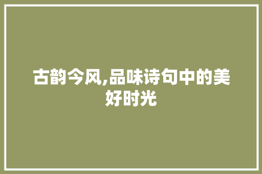 古韵今风,品味诗句中的美好时光
