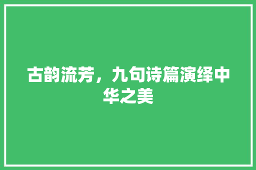 古韵流芳，九句诗篇演绎中华之美