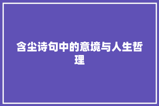 含尘诗句中的意境与人生哲理