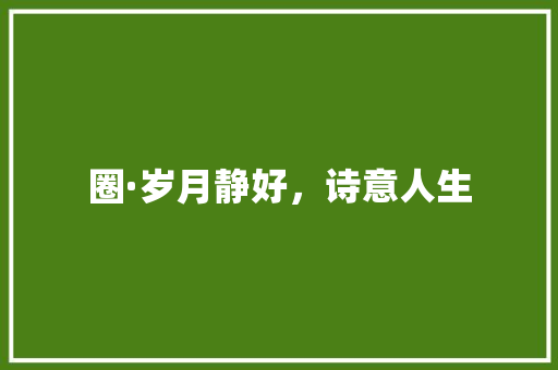 圈·岁月静好，诗意人生