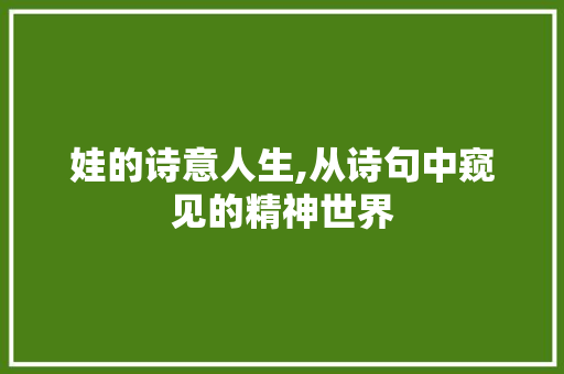娃的诗意人生,从诗句中窥见的精神世界