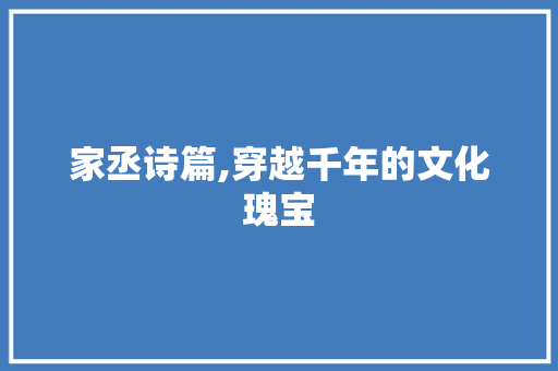 家丞诗篇,穿越千年的文化瑰宝 反义词汇