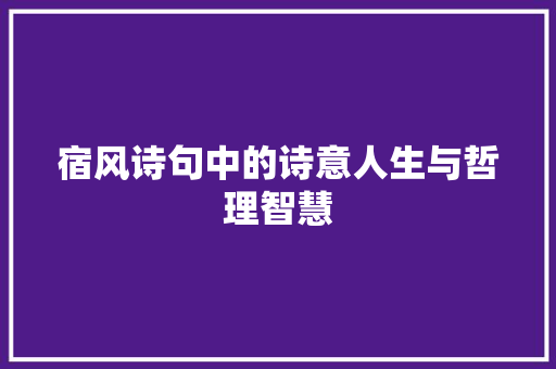 宿风诗句中的诗意人生与哲理智慧