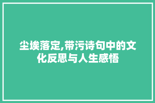 尘埃落定,带污诗句中的文化反思与人生感悟
