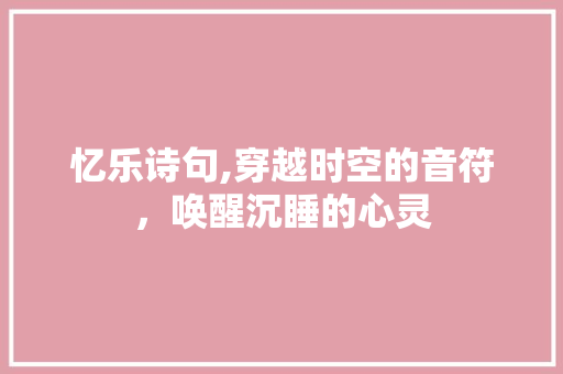 忆乐诗句,穿越时空的音符，唤醒沉睡的心灵