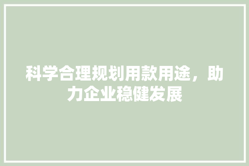 科学合理规划用款用途，助力企业稳健发展