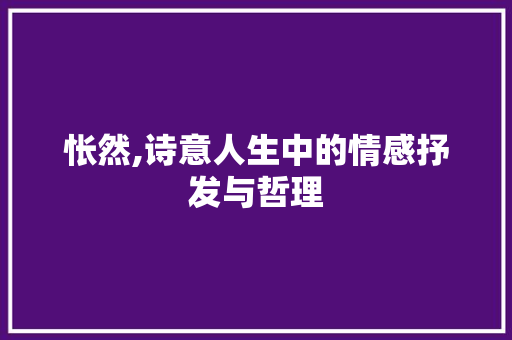 怅然,诗意人生中的情感抒发与哲理