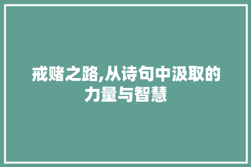 戒赌之路,从诗句中汲取的力量与智慧 成语汇编