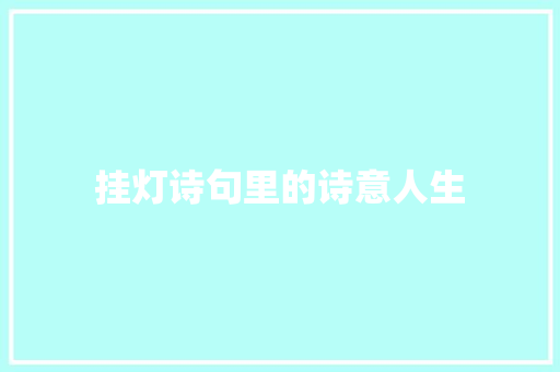 挂灯诗句里的诗意人生