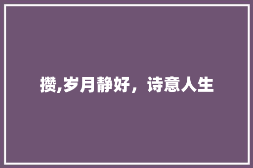 攒,岁月静好，诗意人生