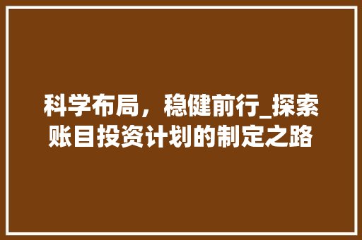 科学布局，稳健前行_探索账目投资计划的制定之路
