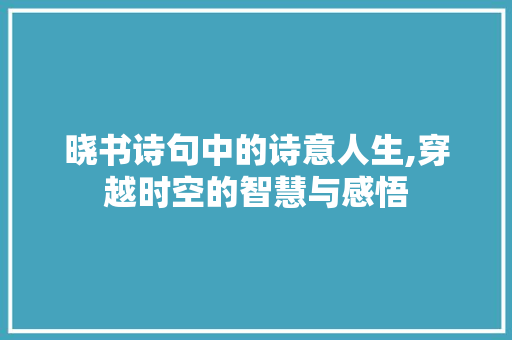 晓书诗句中的诗意人生,穿越时空的智慧与感悟