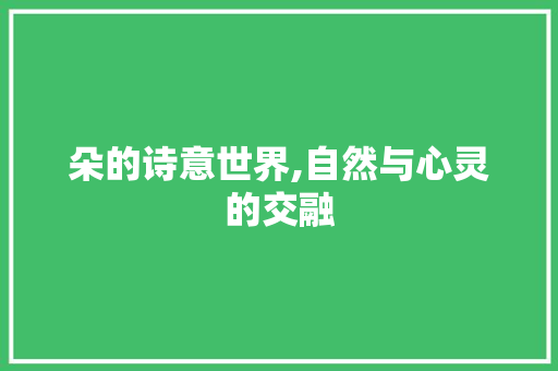 朵的诗意世界,自然与心灵的交融