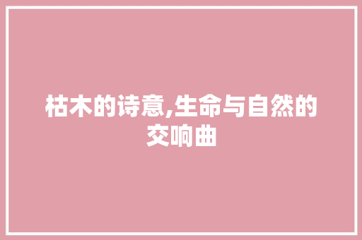 枯木的诗意,生命与自然的交响曲