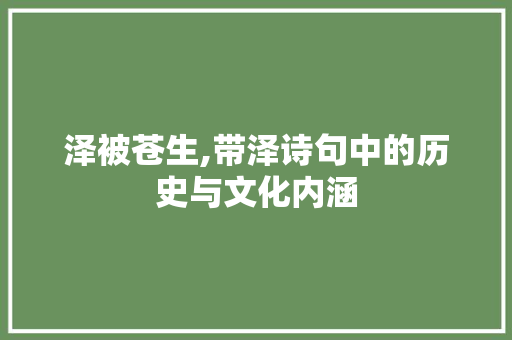 泽被苍生,带泽诗句中的历史与文化内涵